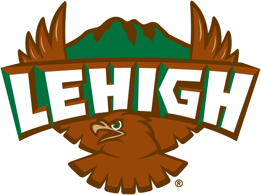 Lehigh Mountain Hawks 1996-2003 Primary Logo diy iron on heat transfer